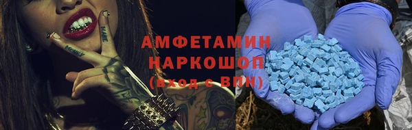 индика Коряжма
