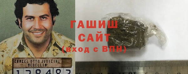 индика Коряжма