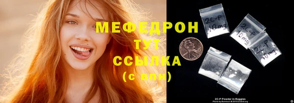индика Коряжма